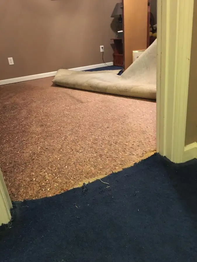 Carpet pad removal revealing water damage during Drying & Dehumidification in Doraville